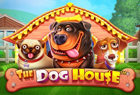 dog house online gratis